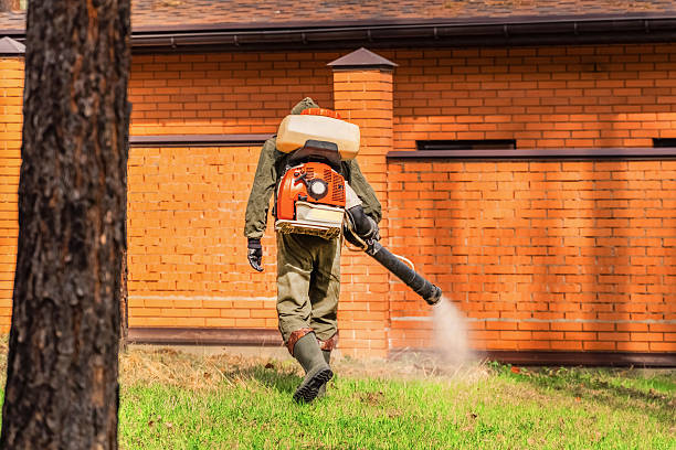 Top rated local Mosquito Control specialists in Folly Beach, SC